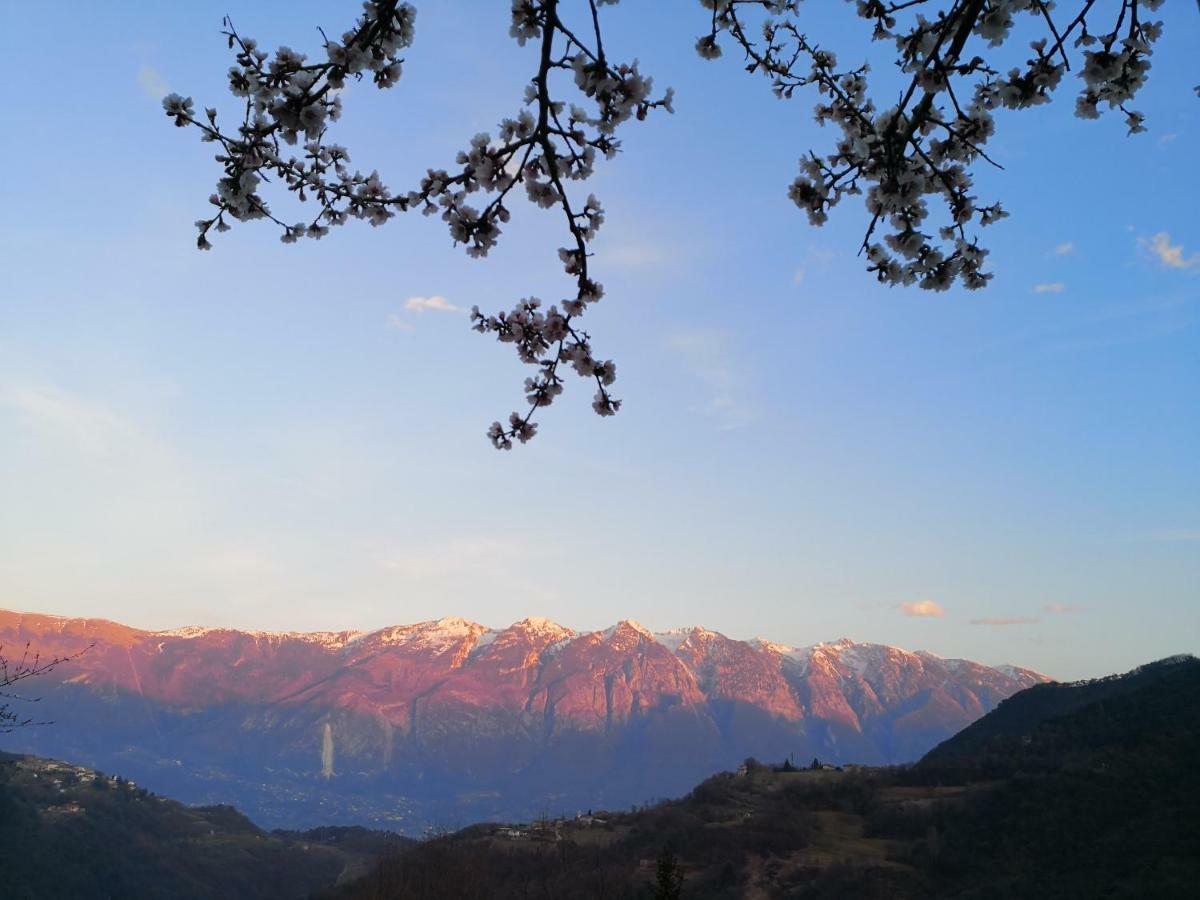 Casa Federico Apartman Tremosine Kültér fotó